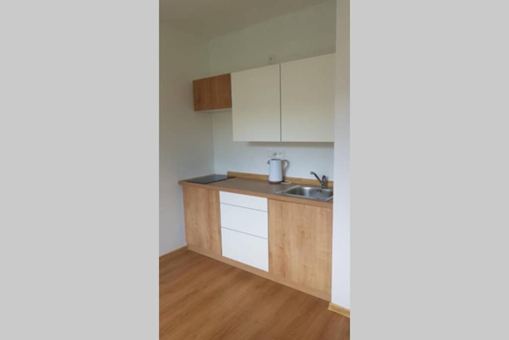 Apartman Jakub Sklar Zelezna Ruda Exterior photo